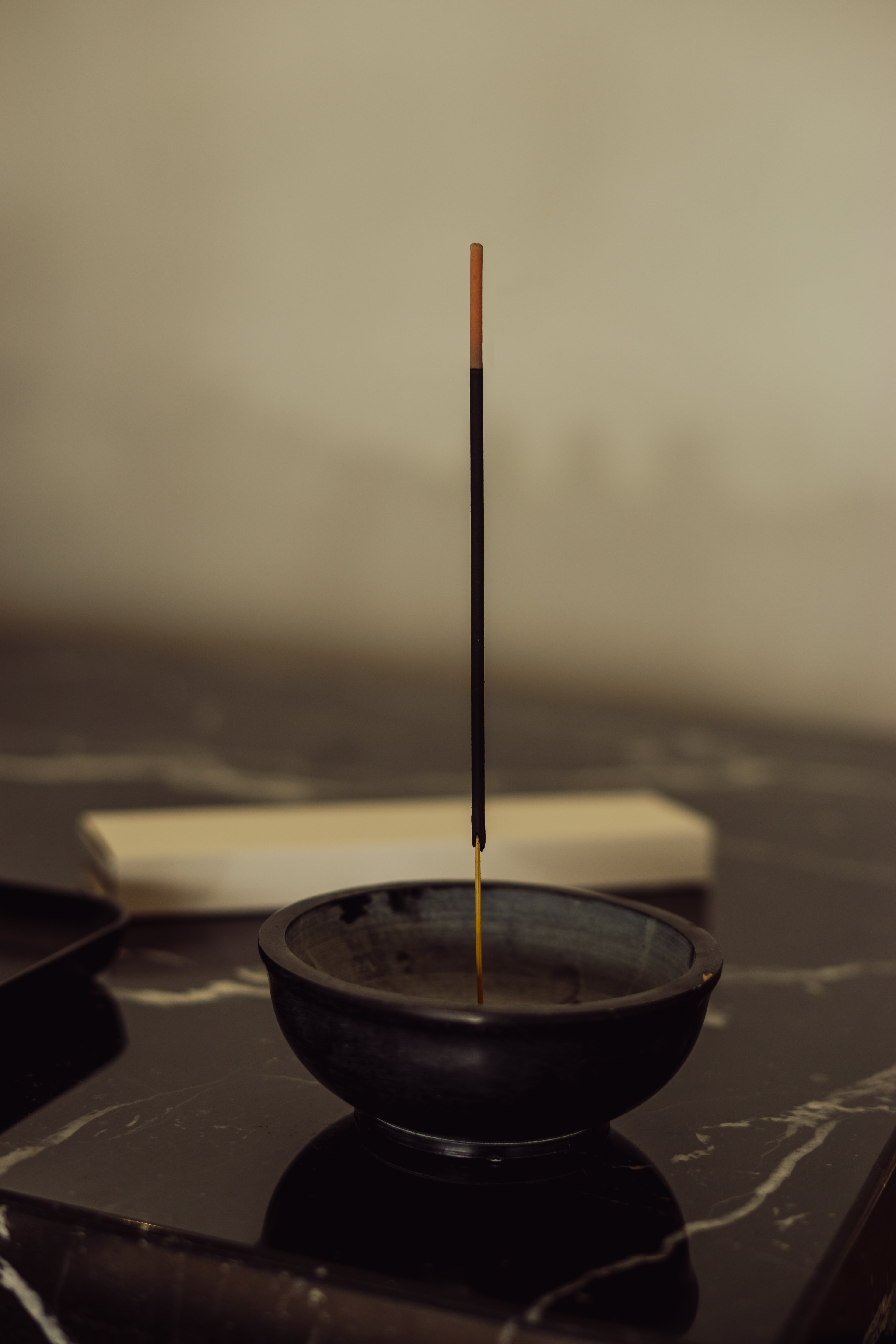 Palo Santo Incenses Sticks